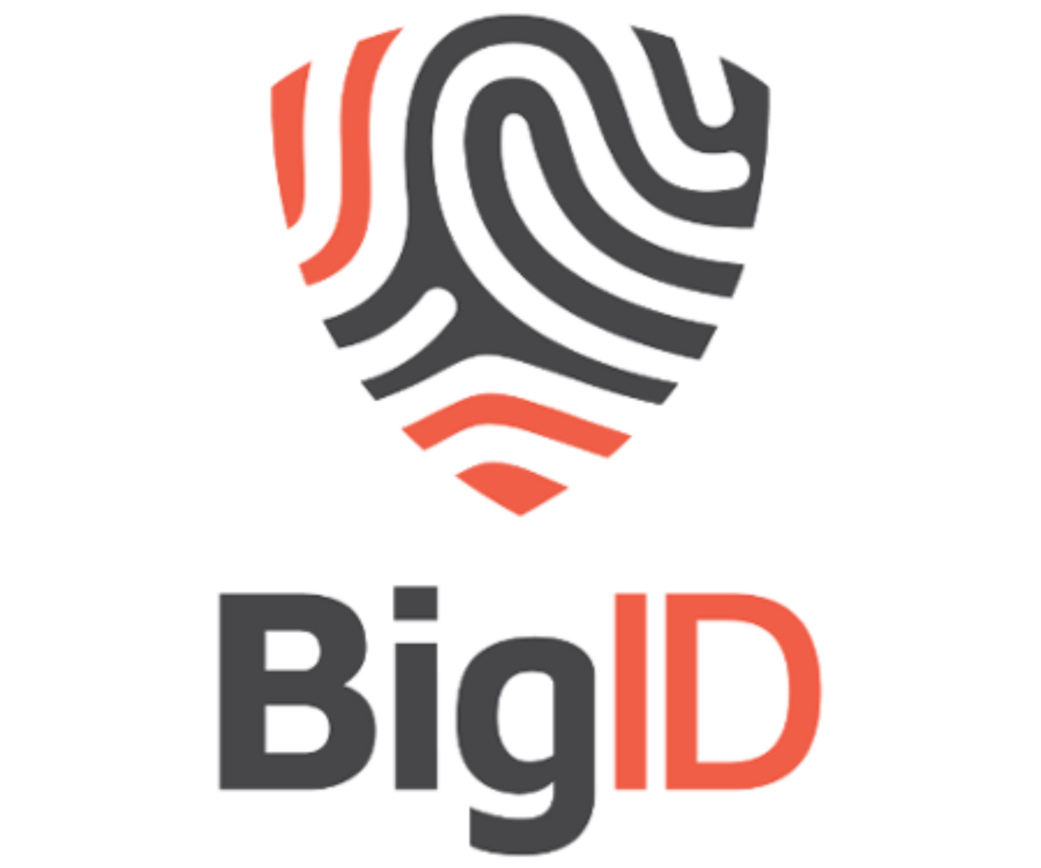 BigID Logo